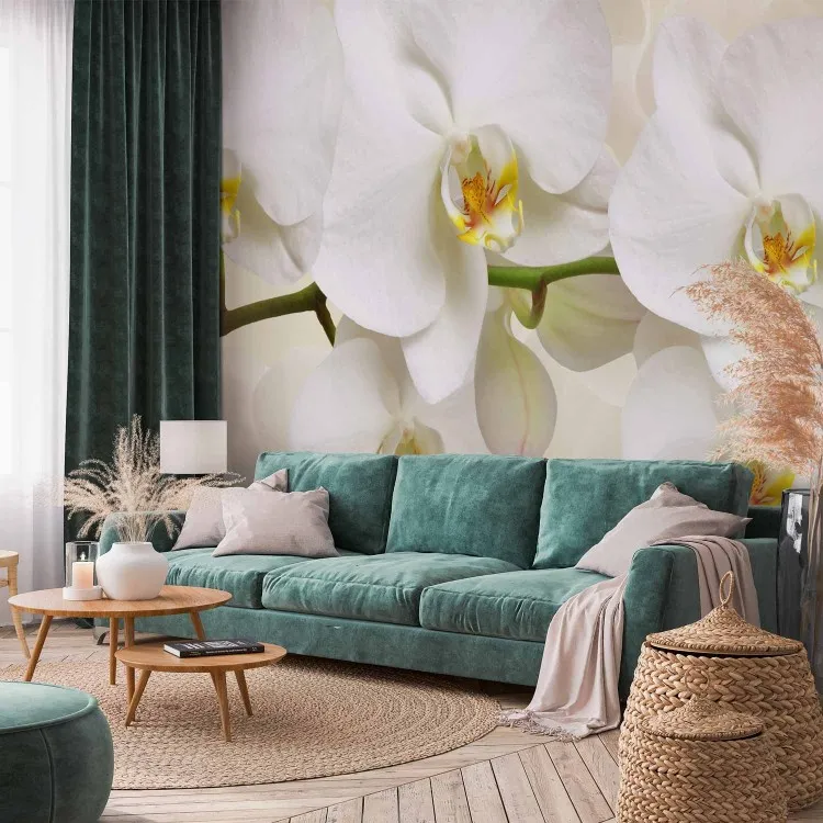 Orchid branch - delicate composition with close-up on white flowers
