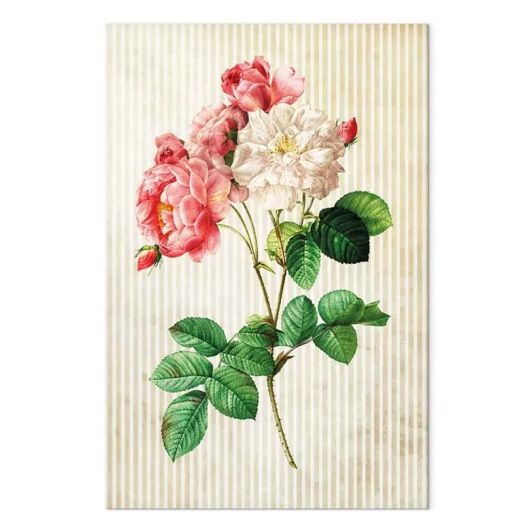 Colorful Roses in Retro Style (1-part) - Floral Nature Inspiration