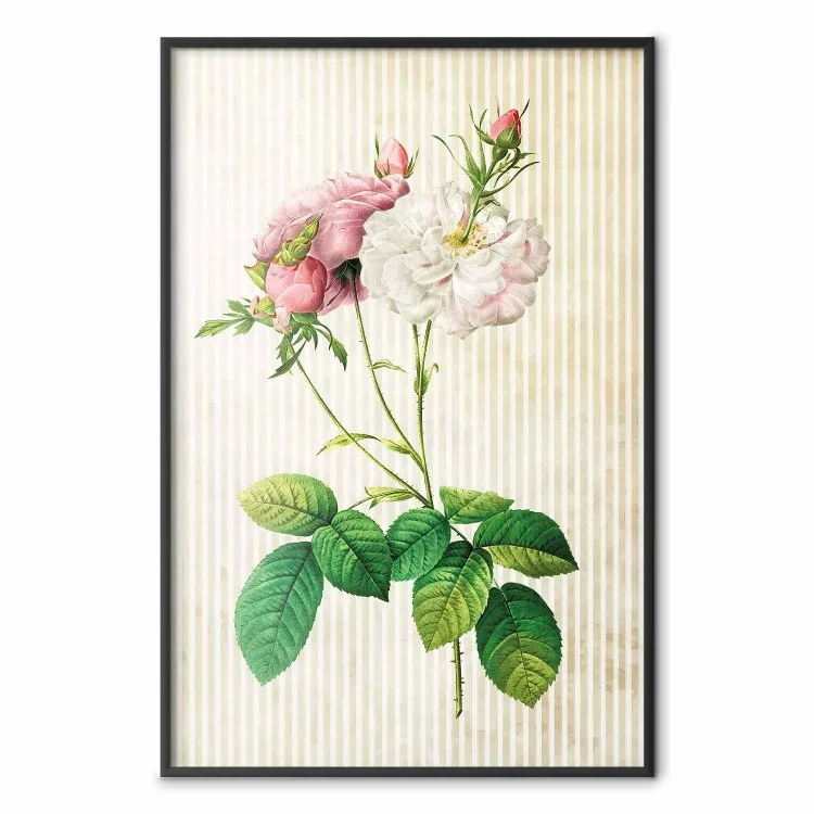 Floral Chic - colorful composition with flowers and beige stripes in the background
