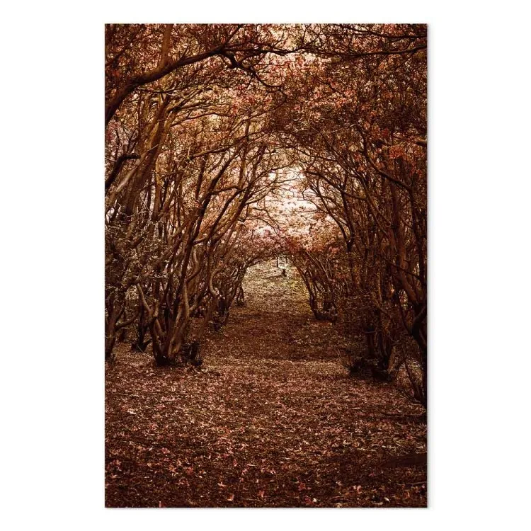 Corridor of trees - autumn forest path covered with leaves