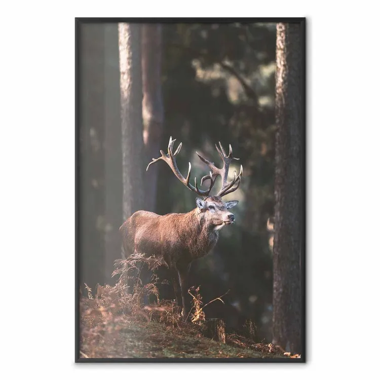 Forest Nobleman - landscape of a forest scene with a deer against trees