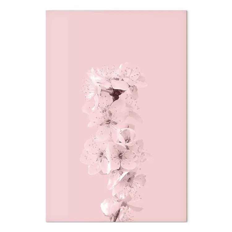 Spring branch full of apple blossoms - pink plant composition