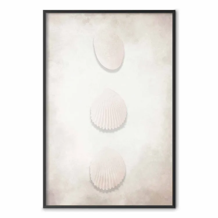 Ocean Wealth - landscape of white seashells on light sand background