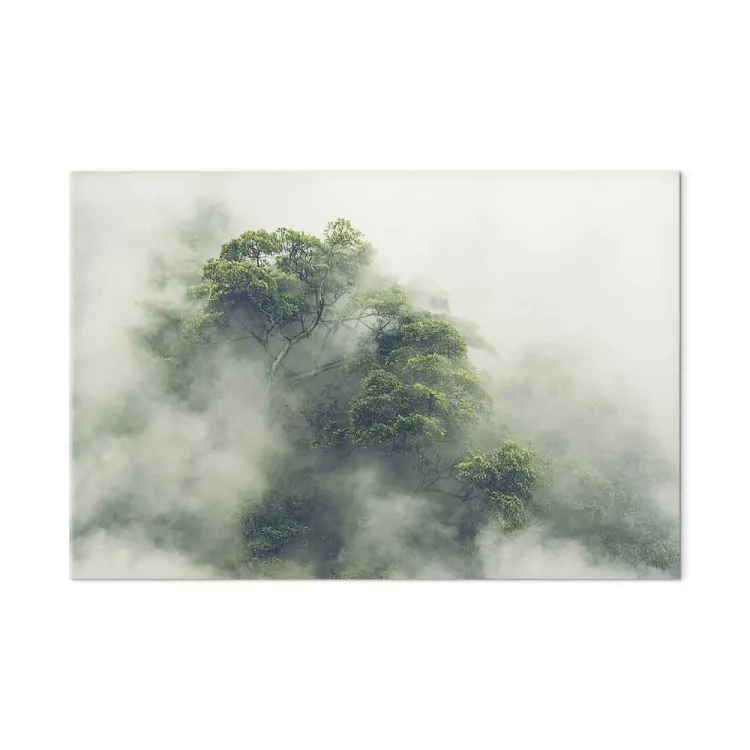 Misty Amazon (1-part) wide - landscape of an exotic forest