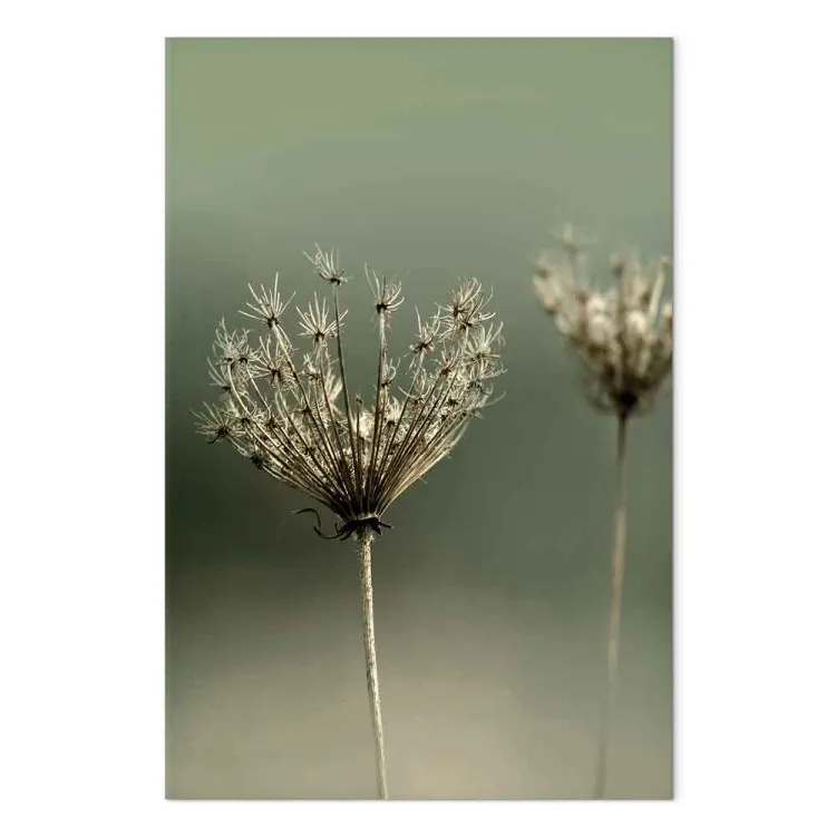 Longing for Past Summer (1-piece) Vertical - photograph of flowers