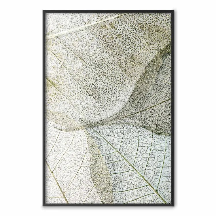 Foliage Configuration - leafy composition with distinct texture