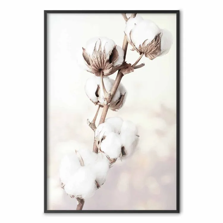 Subtlety of Nature - a landscape of a plant with white flowers on a bright background