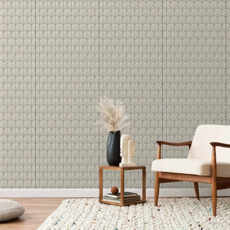 Geometric minimalism