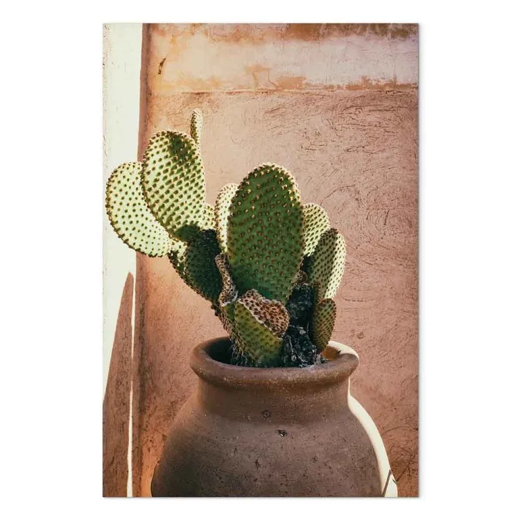 Cactus in a Pot (1-piece) Vertical - green plant in Morocco