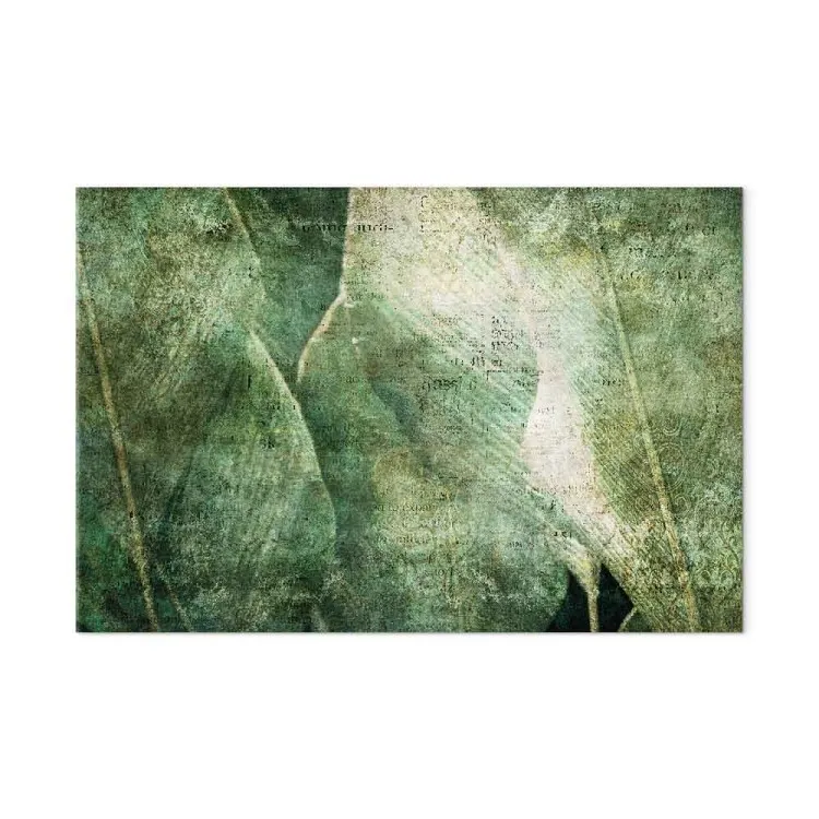 Big leaves - Worn image of exotic leaves plants