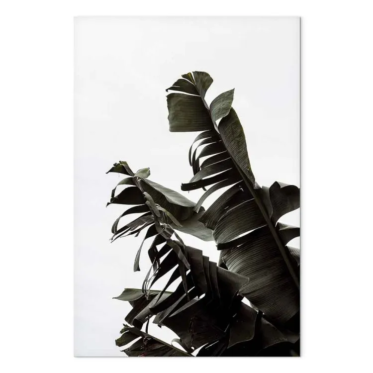 High green - climbing the leaves of an exotic plant