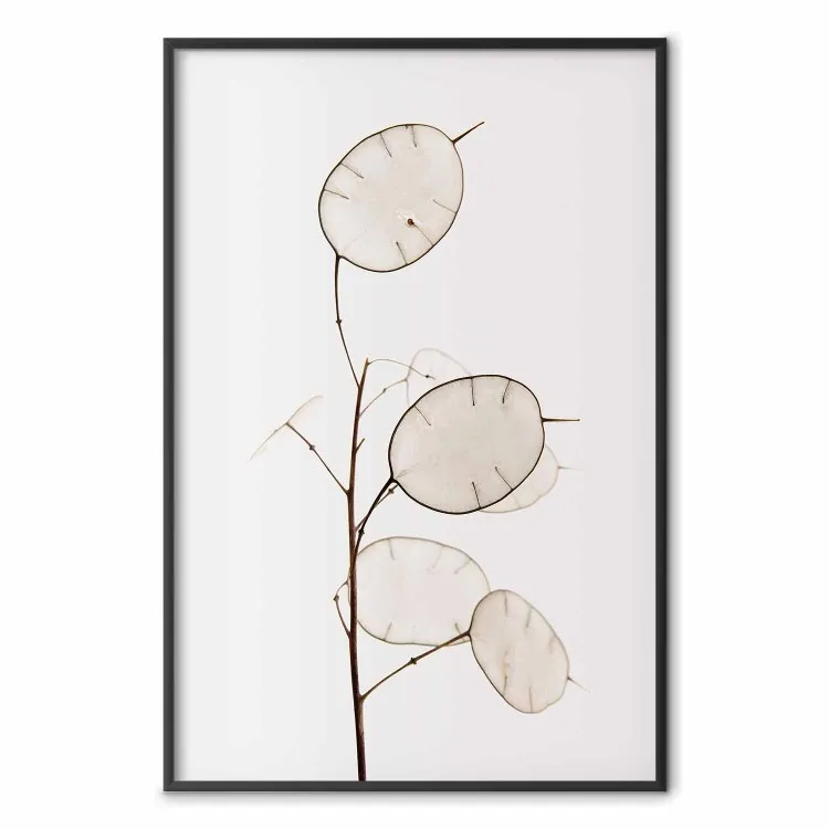 Sunny Direction - a simple composition with bright foliage on a white background