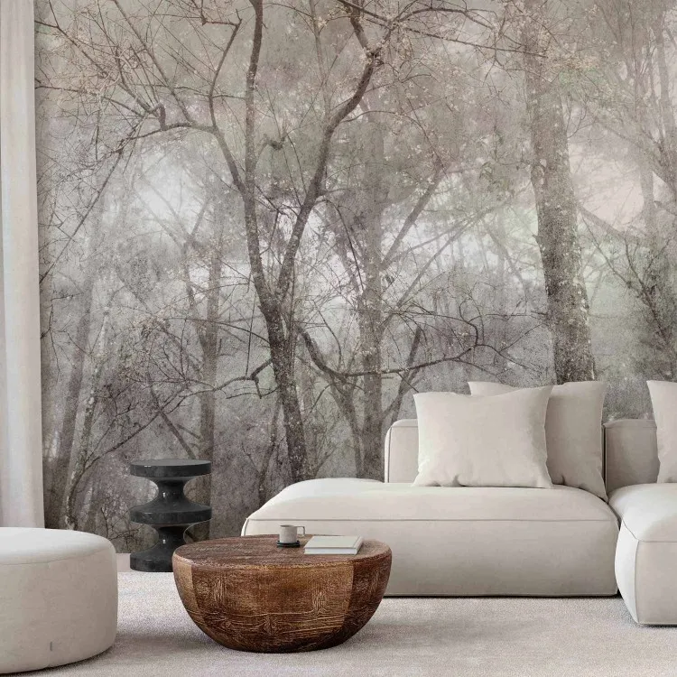 Crown of trees - grey landscape in a forest full of trees in vintage style