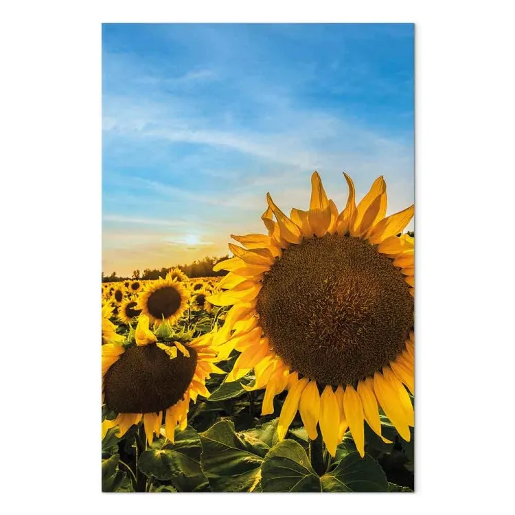 Flowers of Peace (1-piece) Vertical - sunflowers in a vast field