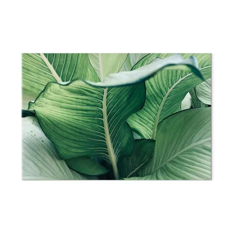 Nature Up Close (1-piece) - landscape with large exotic leaves