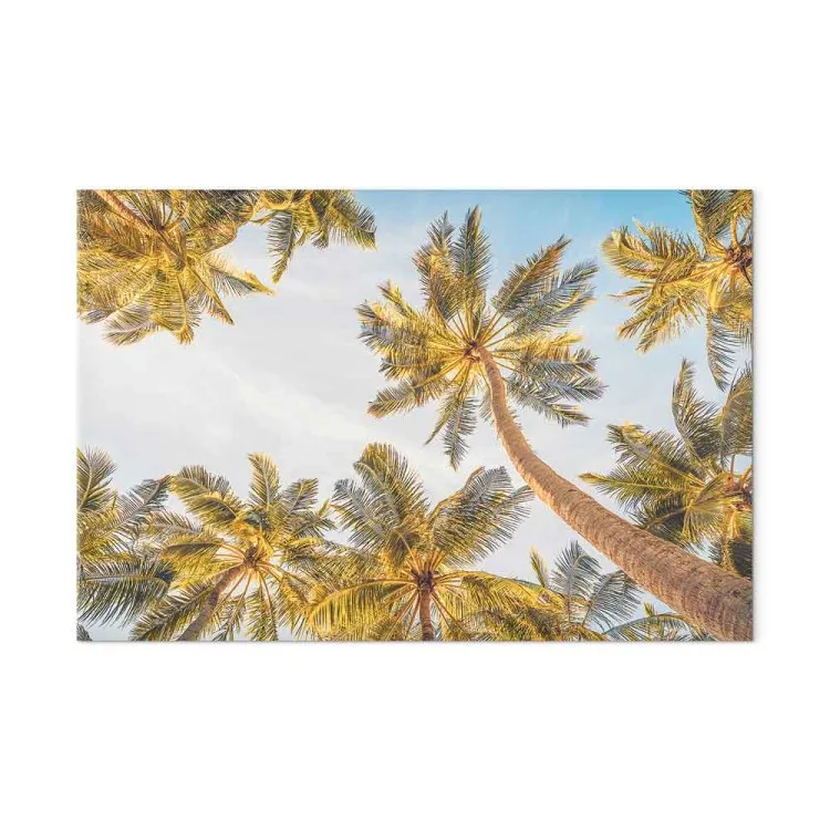 Palm trees - tropical trees against a bright sky