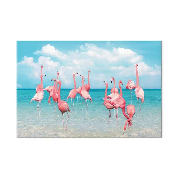 Tropical flamingos - birds in crystal clear waters under a blue sky