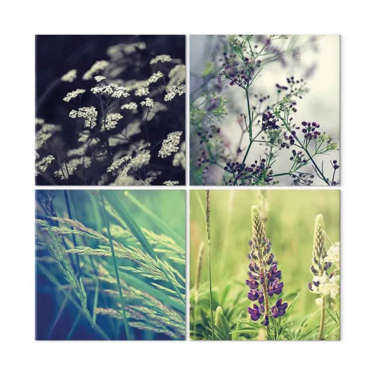 Magical field