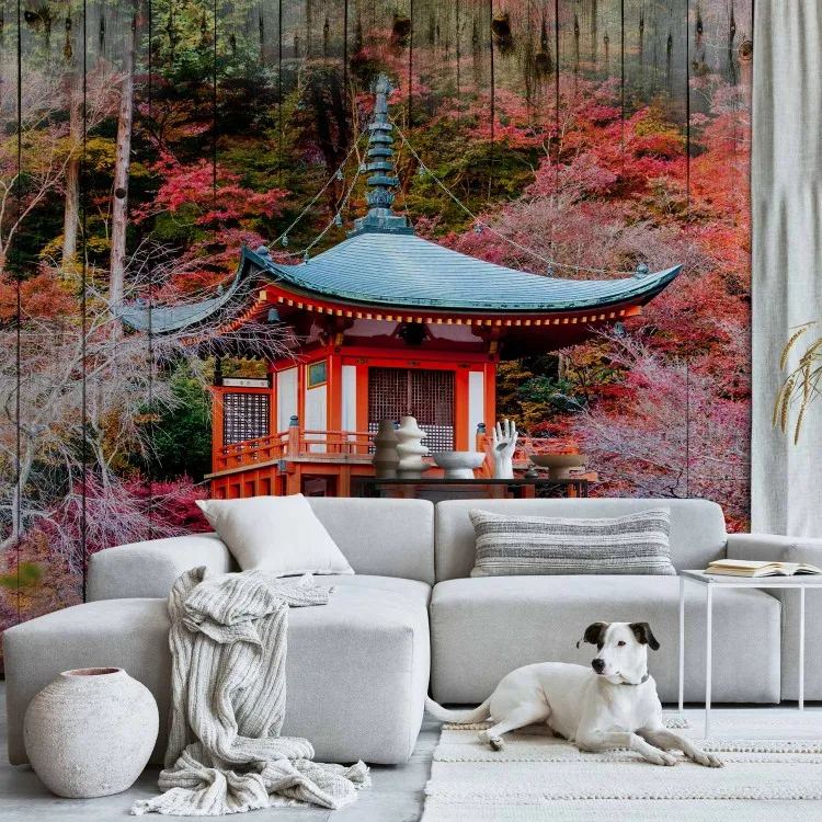 Autumnal Japan