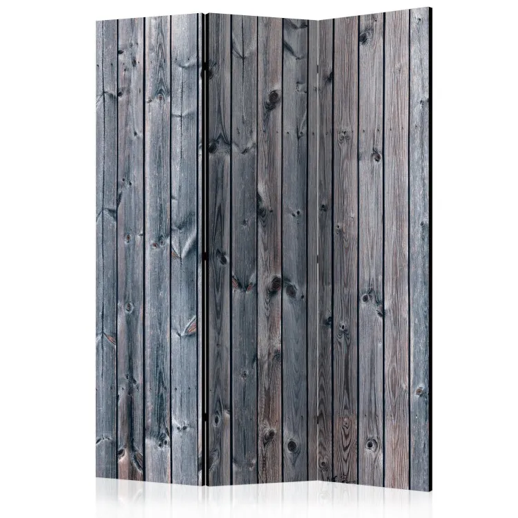 Rustic Elegance - texture of gray and faded wooden planks