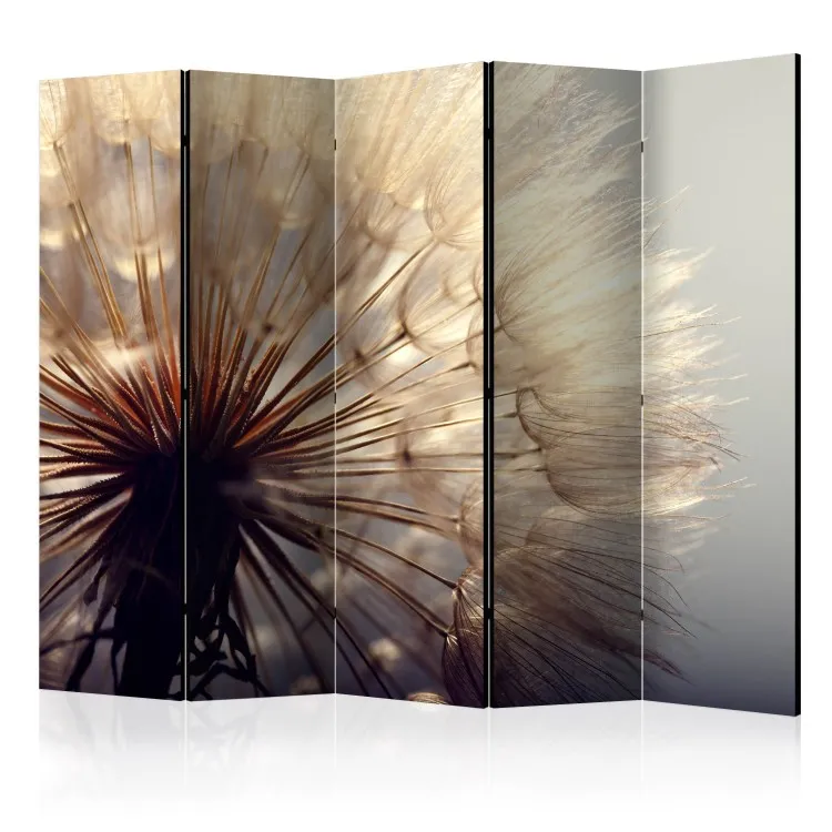 Dandelion's Kiss II - romantic plant in colorful sunlight