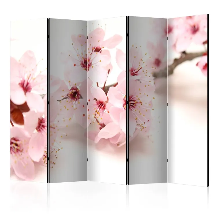 Cherry Blossom II - pink plant on a white background in an oriental motif